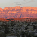 Willie Nelson - The Border Vinyl