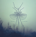 WINTER FAMILY - South From Here CD CD