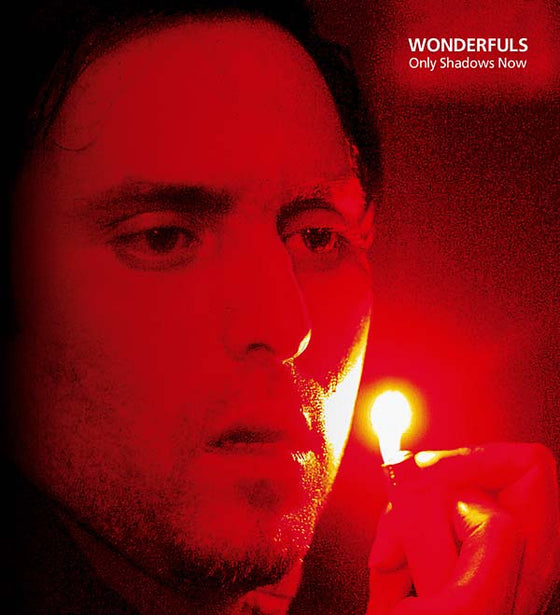 WONDERFULS - Only Shadows Now Vinyl LP