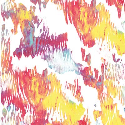 XIPHIIDAE - Pass Hidingly Seek Vinyl LP