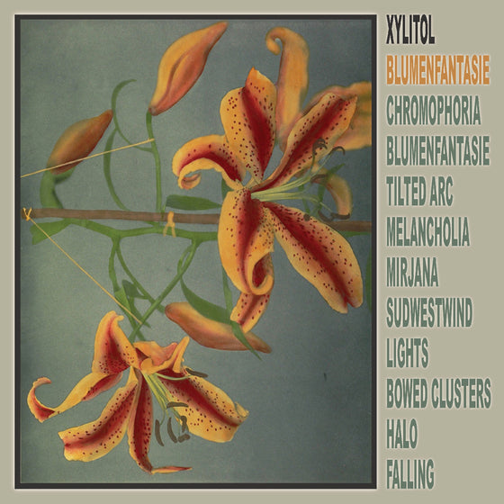 Xylitol - Blumenfantasie Vinyl