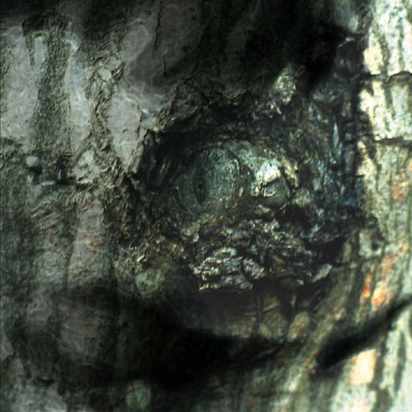Yann Tiersen - La Valse des Monstres CD CD