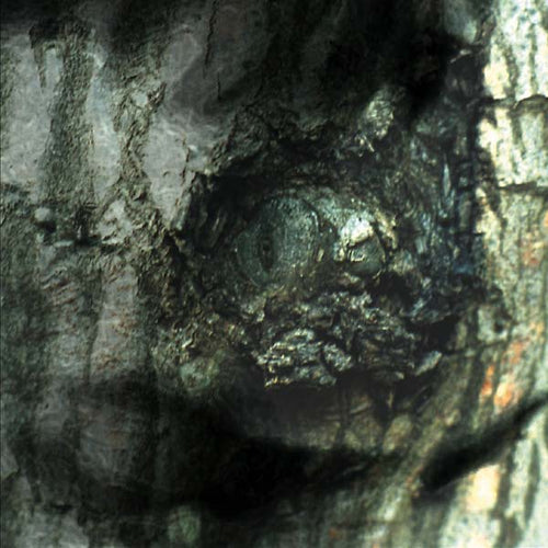 Yann Tiersen - La Valse des Monstres CD CD