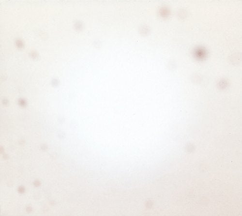 Yo La Tengo - There's A Riot Going On Vinyl 2LP standard Jacket