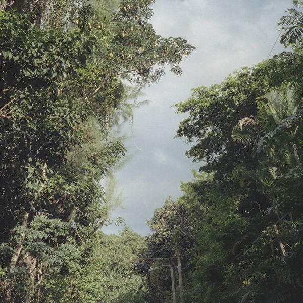 Zac Nelson - New Once Vinyl LP