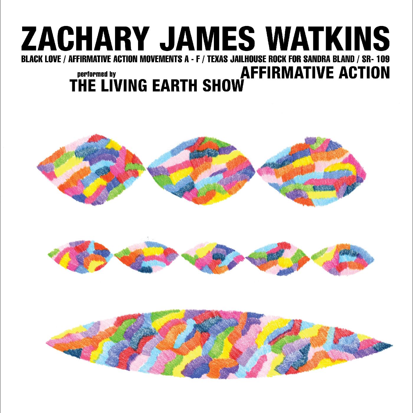 Zachary James Watkins - Affirmative Action Vinyl LP