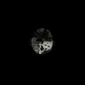 ZOMBIES UNDER STRESS - Stalin Vinyl 12"